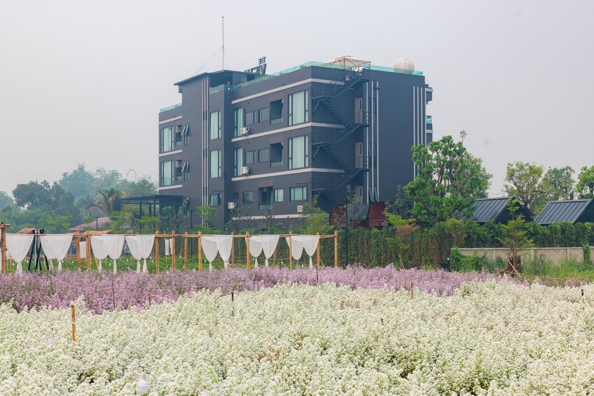 The View Chiang Dao Exterior foto